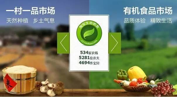 农产品电子商务模式问题研究——以黑龙江省为例